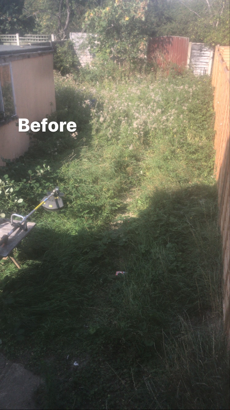 Garden Transformation
